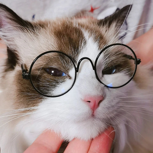 Vintage Round Cat Sunglasses – Reflective Eyewear for Small Dogs, Cats, and Kittens | Stylish Pet Accessories