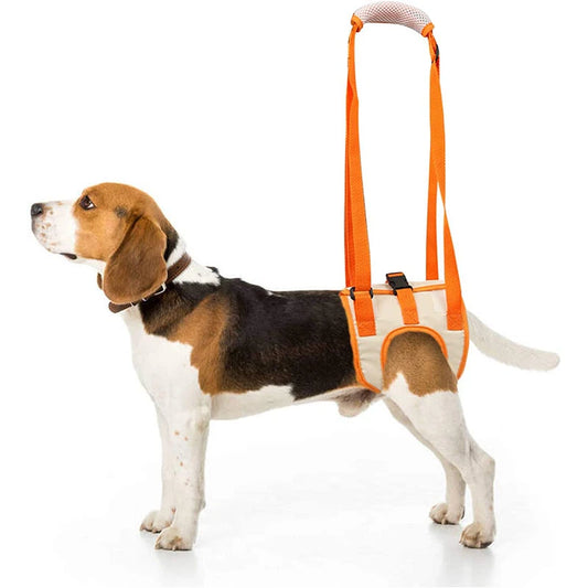 Adjustable Dog Sling Harness for Hip & Back Leg Support – Canine Rehabilitation Aid & Lift Harness for Ligament Recovery